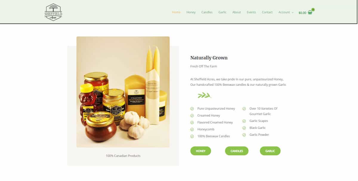 Ecommerce website design Ecommerce website design